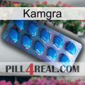 Kamgra viagra1